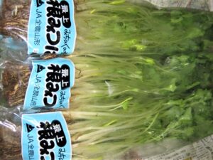 【山形県産 入荷情報】葉みつばの入荷が最盛期を迎えました