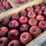 【県外産 入荷情報】貯蔵ふじりんご(青森県産)の入荷が始まっています