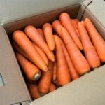 【県外産 入荷情報】春にんじん(新にんじん)(徳島県産)の入荷が始まっています