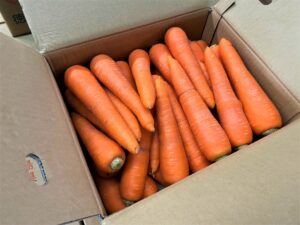 【県外産 入荷情報】春にんじん(新にんじん)(徳島県産)の入荷が始まっています