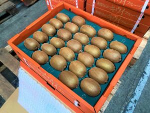 【県外産 入荷情報】キウイフルーツ(和歌山県産)の入荷が最盛期を迎えています