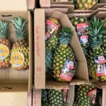 【国外産 入荷情報】パイナップル(フィリピン・台湾産)の入荷が最盛期を迎えようとしています