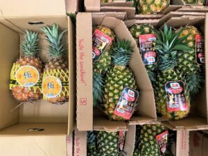 【国外産 入荷情報】パイナップル(フィリピン・台湾産)の入荷が最盛期を迎えようとしています