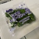 【県外産 入荷情報】春ピーマン(茨城・高知県産)の入荷が最盛期を迎えようとしています