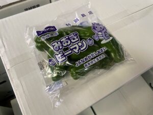 【県外産 入荷情報】春ピーマン(茨城・高知県産)の入荷が最盛期を迎えようとしています