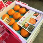 【県外産 入荷情報】せとか(愛媛県産)の入荷が最盛期を迎えています
