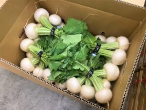 【県外産 入荷情報】小かぶ(千葉県産)の入荷が最盛期を迎えました