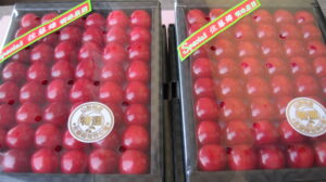 【山形県産 入荷情報】ハウスさくらんぼ(佐藤錦)の入荷が最盛期を迎えようとしています