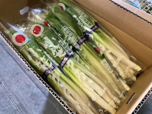 【山形県産 入荷情報】小笹うるいの入荷が最盛期を迎えました