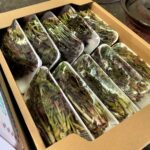 【県内外産 入荷情報】天然山菜類(県内・秋田・青森県産)の入荷が最盛期を迎えています