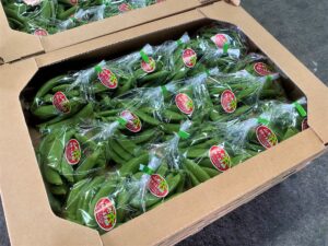 【山形県産 入荷情報】スナップエンドウの入荷が最盛期を迎えました