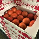 【山形県産 入荷情報】大玉トマトの入荷が始まりました