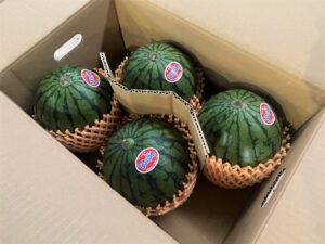 【県外産 入荷情報】小玉スイカ(茨城・千葉・群馬県産)の入荷が最盛期を迎えました