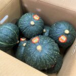 【県外産 入荷情報】かぼちゃ(茨城・千葉県産)の入荷が最盛期を迎えました