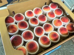 【県外産 入荷情報】もも(山梨県産)の入荷が最盛期を迎えました