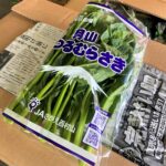 【山形県産 入荷情報】つるむらさきの入荷が始まりました