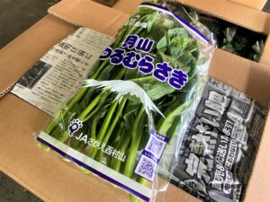 【山形県産 入荷情報】つるむらさきの入荷が始まりました