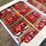 【山形県産 入荷情報】さくらんぼ(紅秀峰)の入荷が最盛期を迎えようとしています