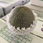 【県外産 入荷情報】タカミメロン(茨城県産)の入荷が最盛期を迎えています