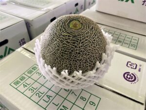 【県外産 入荷情報】タカミメロン(茨城県産)の入荷が最盛期を迎えています