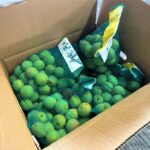 【山形県産 入荷情報】谷沢梅の入荷が最盛期を迎えました