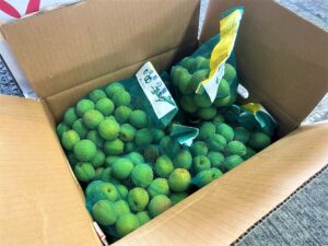 【山形県産 入荷情報】谷沢梅の入荷が最盛期を迎えました