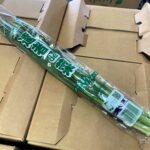 【山形県産 入荷情報】にらの入荷が最盛期を迎えています