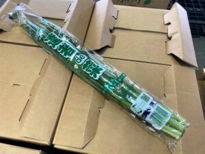 【山形県産 入荷情報】にらの入荷が最盛期を迎えています
