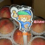 ミニ毛屋さんのおすすめ!