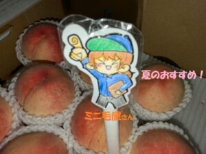 ミニ毛屋さんのおすすめ！