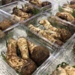 岩手県産の「松茸」が最盛期を迎えました‼