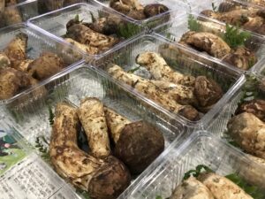 岩手県産の「松茸」が最盛期を迎えました‼