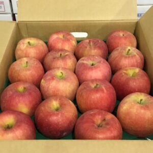 山形県産の「早生ふじ」順調に出荷が始まっています‼