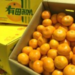 和歌山の「有田みかん」今年も美味しく仕上がっています‼