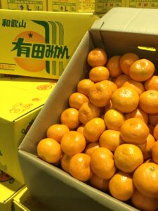 和歌山の「有田みかん」今年も美味しく仕上がっています‼
