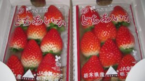 栃木県産の「とちあいか」の出荷が始まっています‼