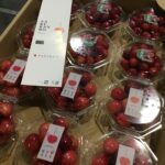 令和7年 初セリが行われました。