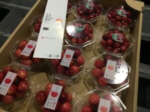 令和7年　初セリが行われました。