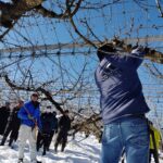 山形丸果園芸連主催の「さくらんぼ冬季剪定講習会」が開催されました。