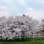 2025年4月18日「会社見学が行われました」