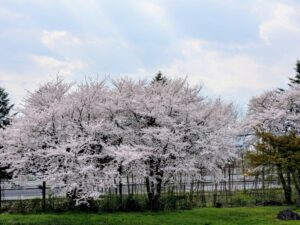 2025年4月18日「会社見学が行われました」