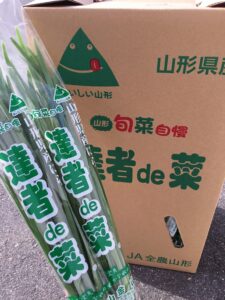 山形県産「にら(達者de菜)」が順調に出荷されています!!