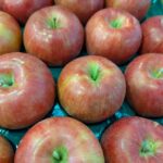 山形県産「りんご（シナノスイート）」の出荷が始まっています！！