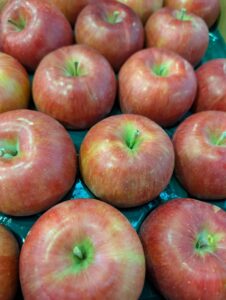 山形県産「りんご(シナノスイート)」の出荷が始まっています!!