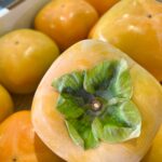 山形県を代表する秋の味覚!庄内柿の季節がやってきました!