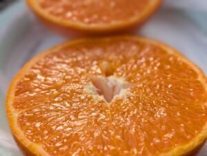 【2月25日 山形新聞掲載】滴る蜜、とろける甘み！愛媛県産「せとか」