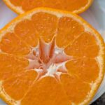 弾ける果肉、爽快な甘み！愛媛県産「はるみ」