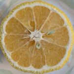 見た目を裏切る、気品ある甘み！愛媛県産「はるか」