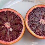 地中海の情熱、愛媛に咲く。情熱の真紅「ブラッドオレンジ」