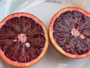 地中海の情熱、愛媛に咲く。情熱の真紅「ブラッドオレンジ」